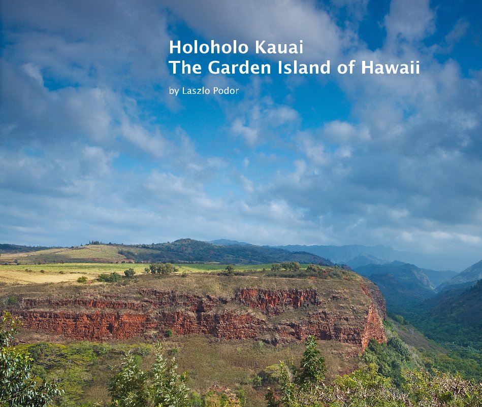 View Holoholo Kauai by Laszlo Podor