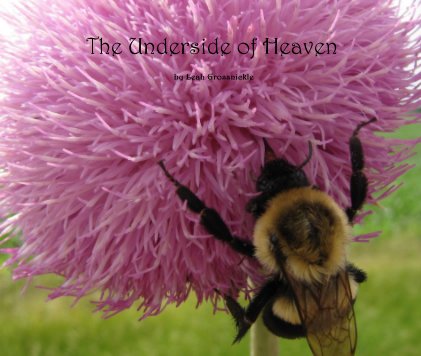 The Underside of Heaven book cover