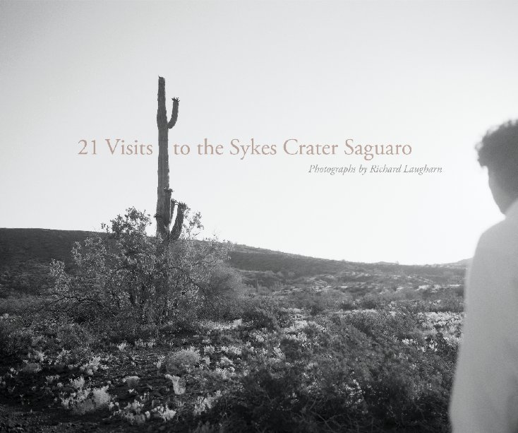 View 21 Visits to the Sykes Crater Saguaro by Richard Laugharn