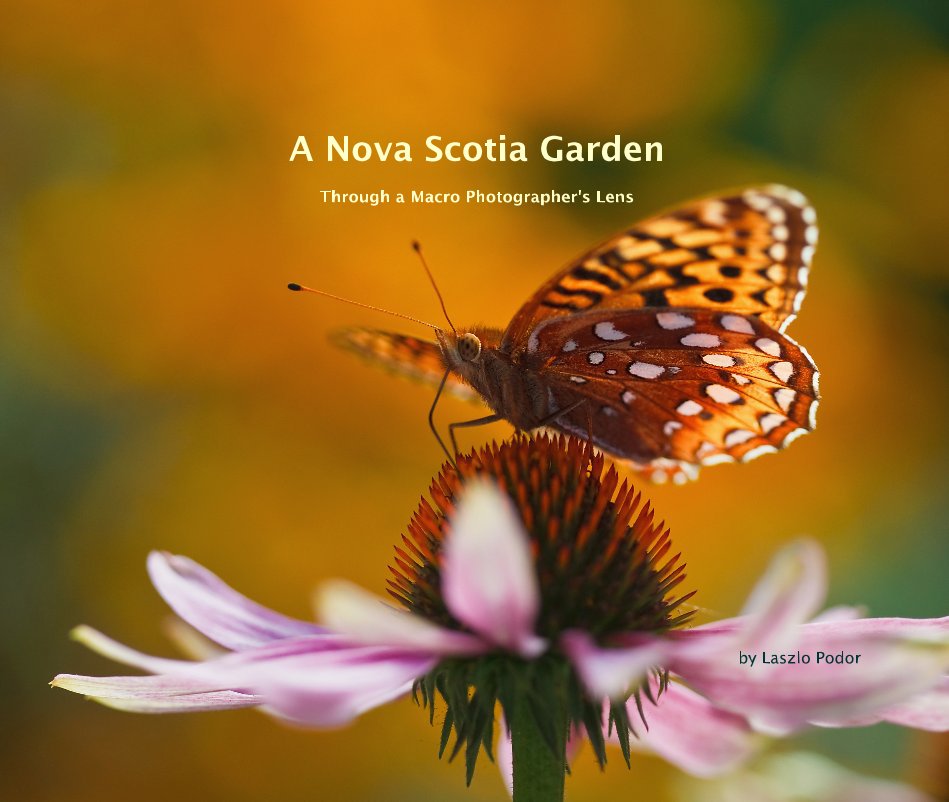 View A Nova Scotia Garden by Laszlo Podor