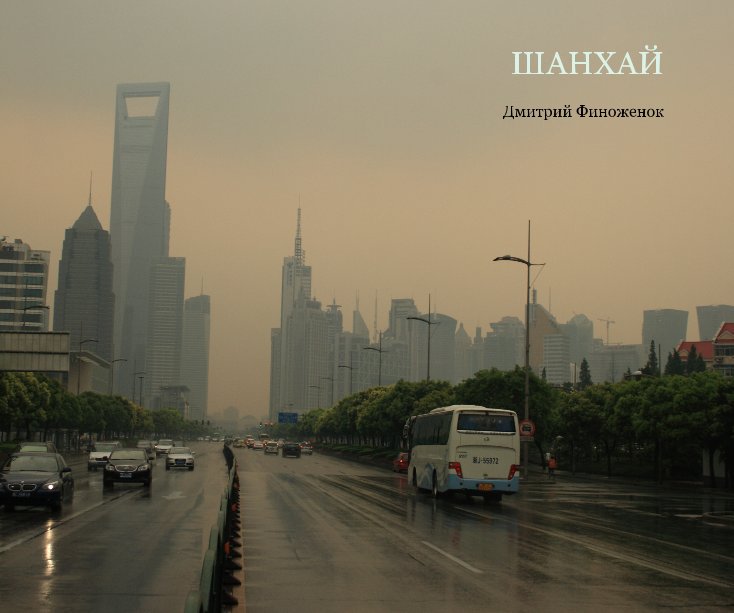 View Shanghai by Dmitriy Finozhenok