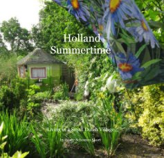 Holland Summertime book cover