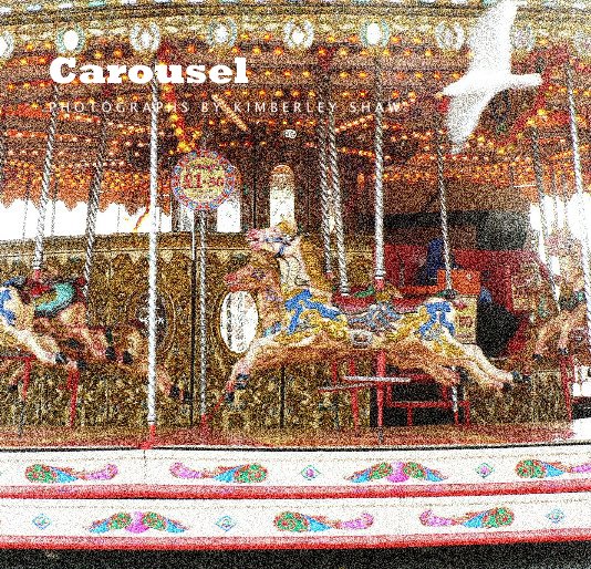 View Carousel by Kimberley Shaw