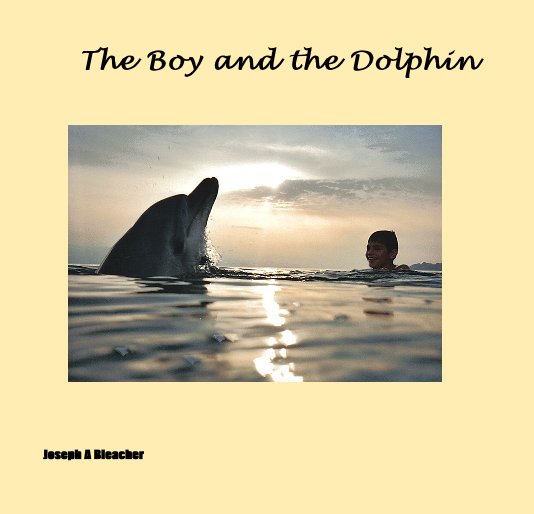 View The Boy and the Dolphin by Joseph A Bleacher