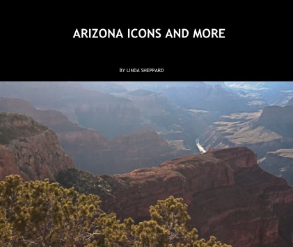 ARIZONA ICONS AND MORE book cover