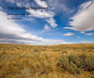 The Amazing Southwest book cover