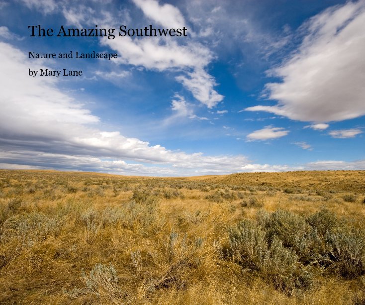View The Amazing Southwest by Mary Lane