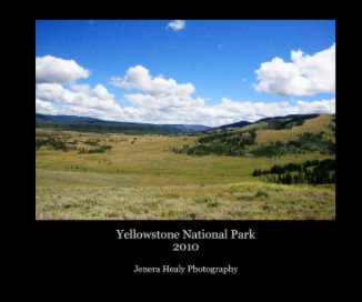 Yellowstone National Park
2010 book cover