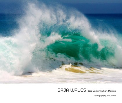 Baja Waves book cover