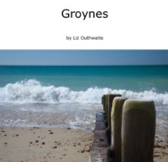 Groynes book cover