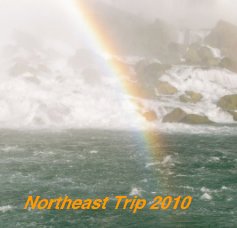 Bush/Smith Trip 2010 book cover
