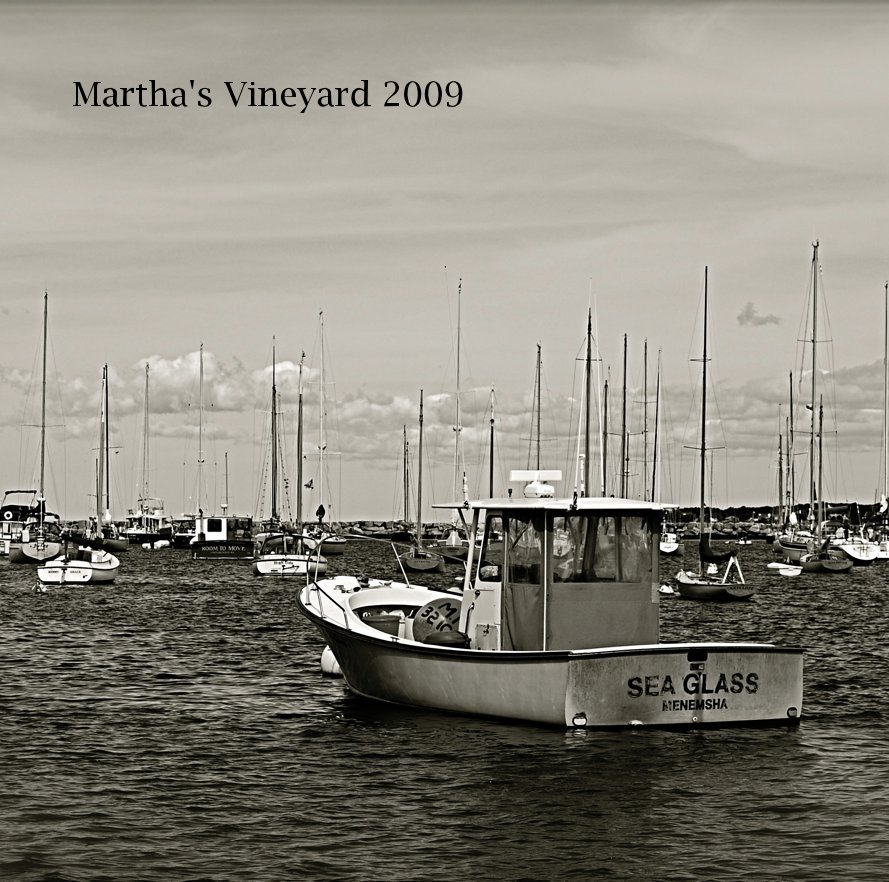 View Martha's Vineyard 2009 by momentintime