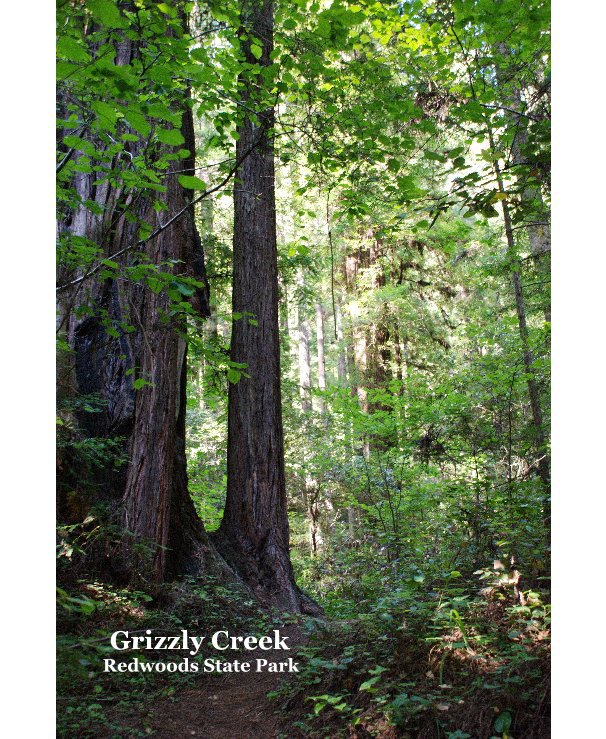 Grizzly Creek Redwoods State Park nach Greg Hudson anzeigen