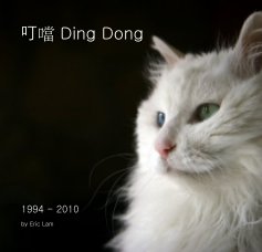 叮噹 Ding Dong book cover