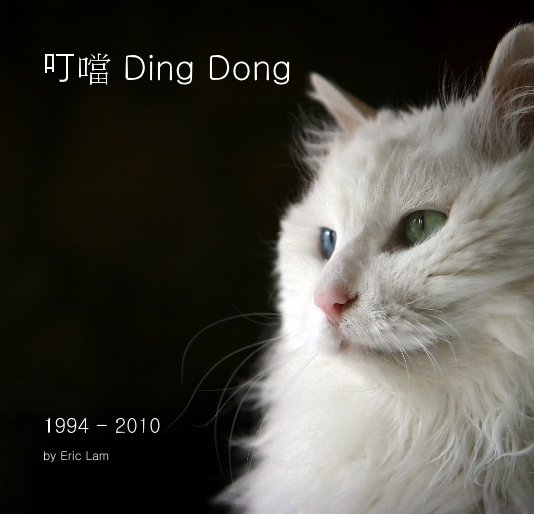 Ver 叮噹 Ding Dong por Eric Lam