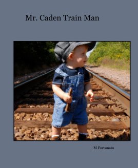 Mr. Caden Train Man book cover