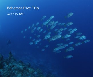 Bahamas Dive Trip book cover