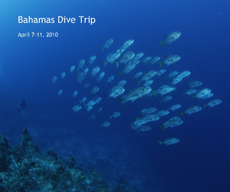 View Bahamas Dive Trip by Daniel M Russell