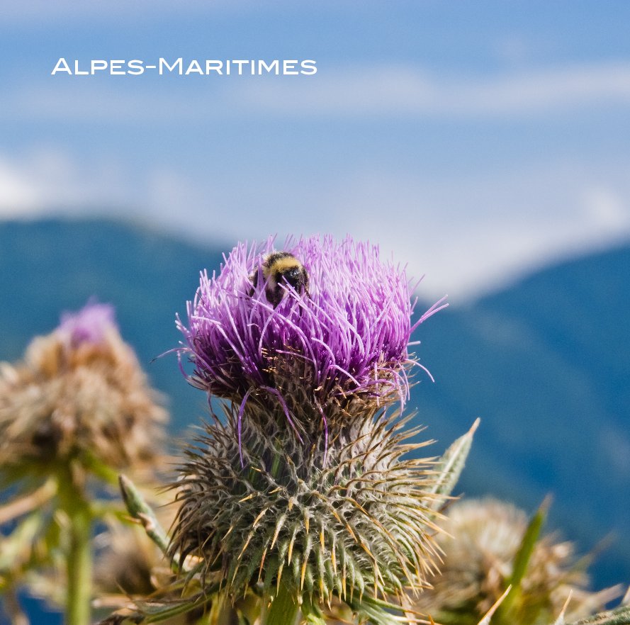 Visualizza Alpes-Maritimes di tjmeijer