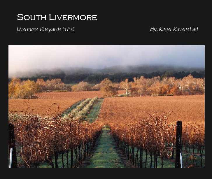Bekijk South Livermore (first edition at reduced rate) op Roger Ravenstad