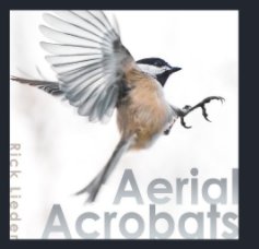 Aerial Acrobats book cover