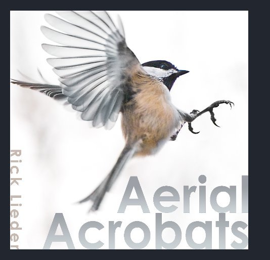 Ver Aerial Acrobats por Rick Lieder