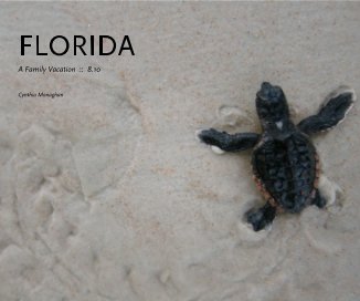 FLORIDA A Family Vacation :: 8.10 Cynthia Monaghan book cover