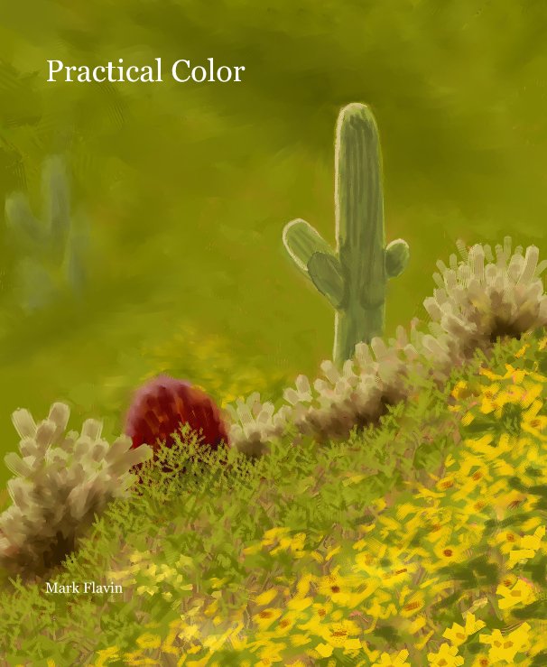 View Practical Color by Mark Flavin