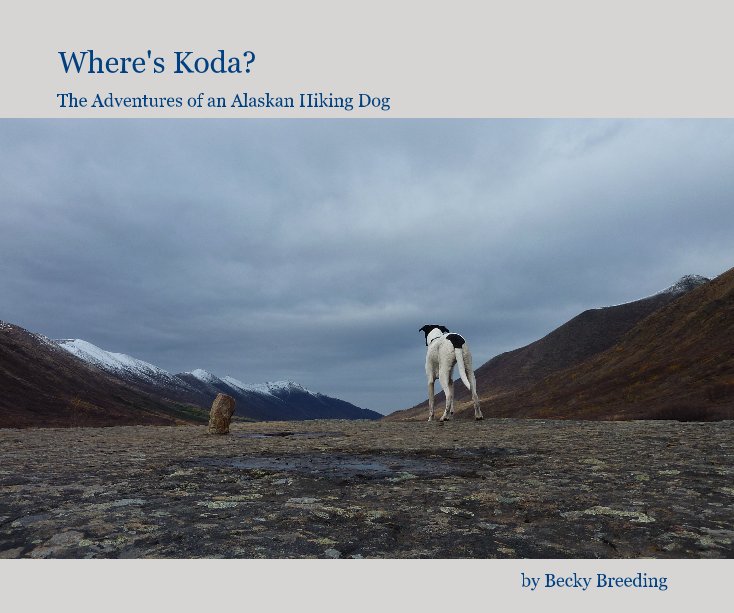 View Where's Koda? by Becky Breeding