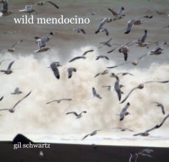 wild mendocino book cover