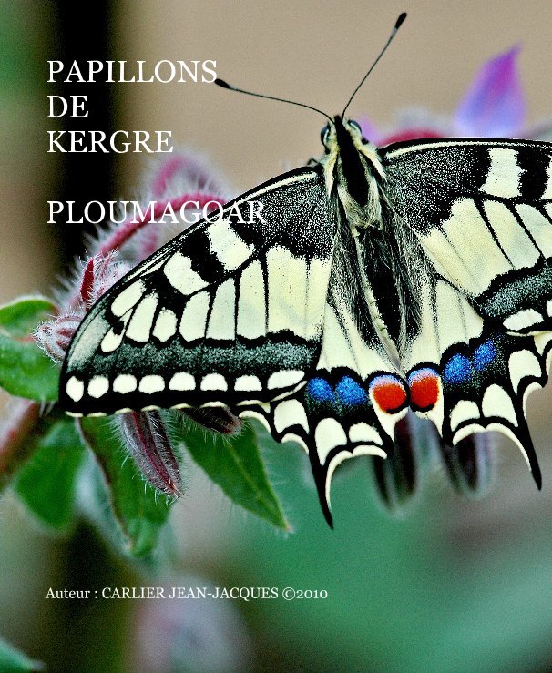 Ver PAPILLONS DE KERGRE PLOUMAGOAR por Auteur : CARLIER JEAN-JACQUES ©2010