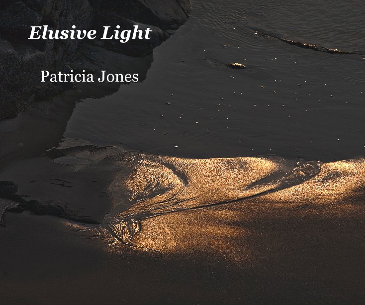 View Elusive Light by Patricia Jones