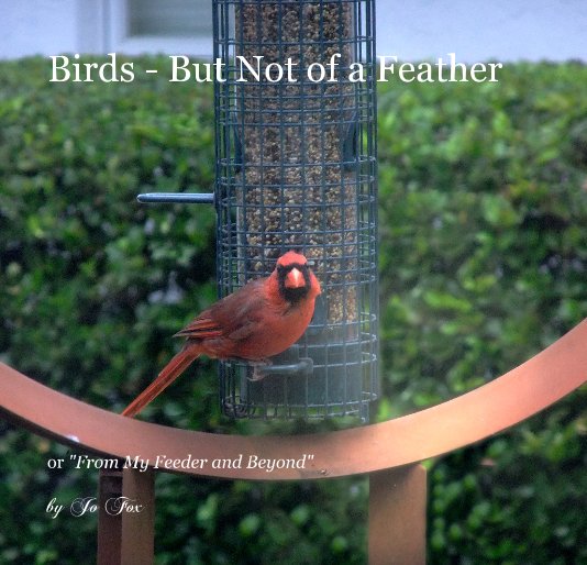 Ver Birds - But Not of a Feather por Jo Fox