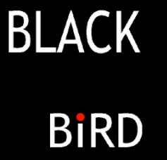Blackbird book cover