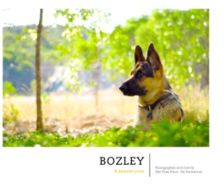 Bozley book cover