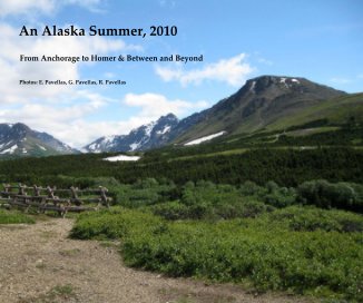 An Alaska Summer, 2010 book cover