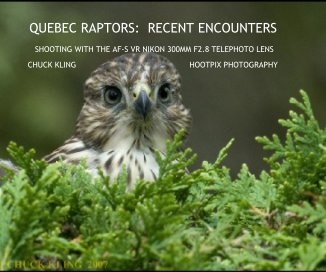 QUEBEC RAPTORS:  RECENT ENCOUNTERS book cover