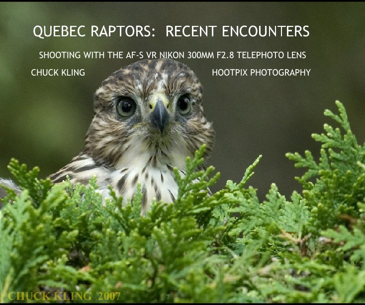 View QUEBEC RAPTORS:  RECENT ENCOUNTERS by CHUCK KLING                                               HOOTPIX PHOTOGRAPHY