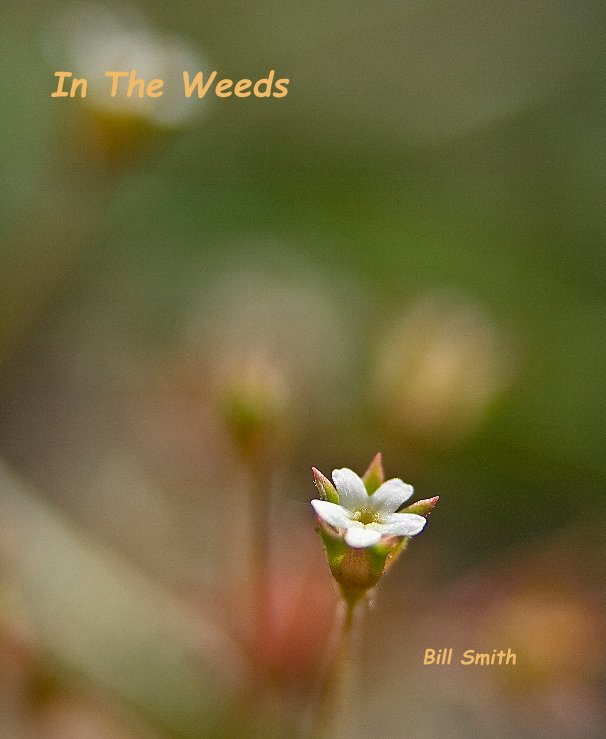 View In The Weeds by Bill Smith