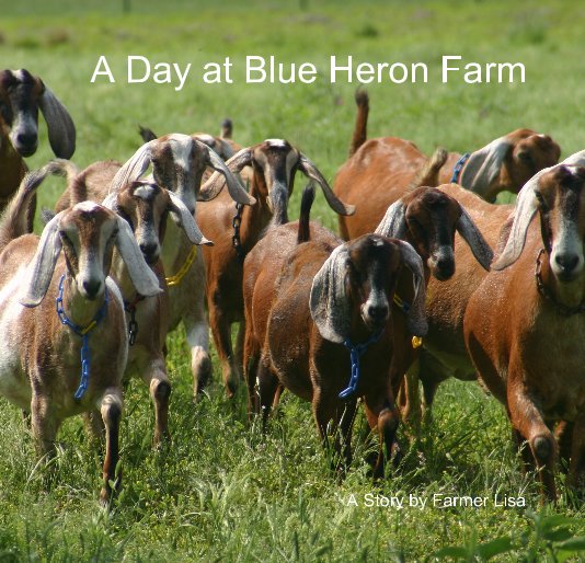View A Day at Blue Heron Farm by Lisa Seger