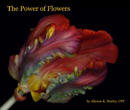 The Power of Flowers book cover