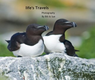 life's Travels book cover
