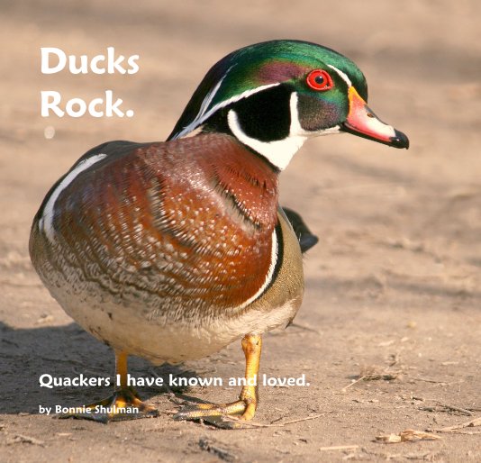 View Ducks Rock. by Bonnie Shulman