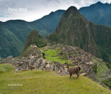 Peru 2010 book cover