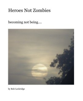 Heroes Not Zombies book cover