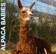 Alpaca Babies book cover