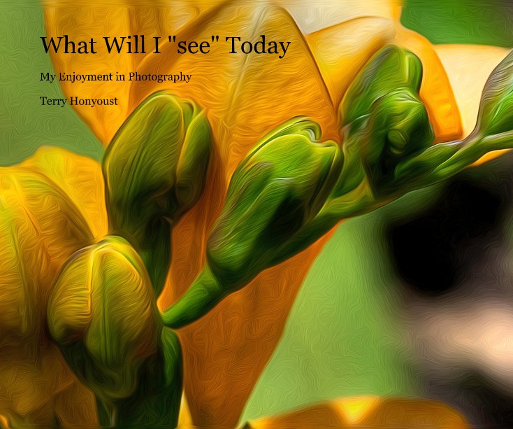 View What Will I "see" Today by Terry Honyoust