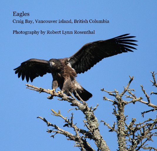 Visualizza Eagles Craig Bay, Vancouver Island, British Columbia Photography by Robert Lynn Rosenthal di robert0707