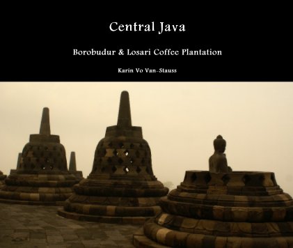Central Java book cover