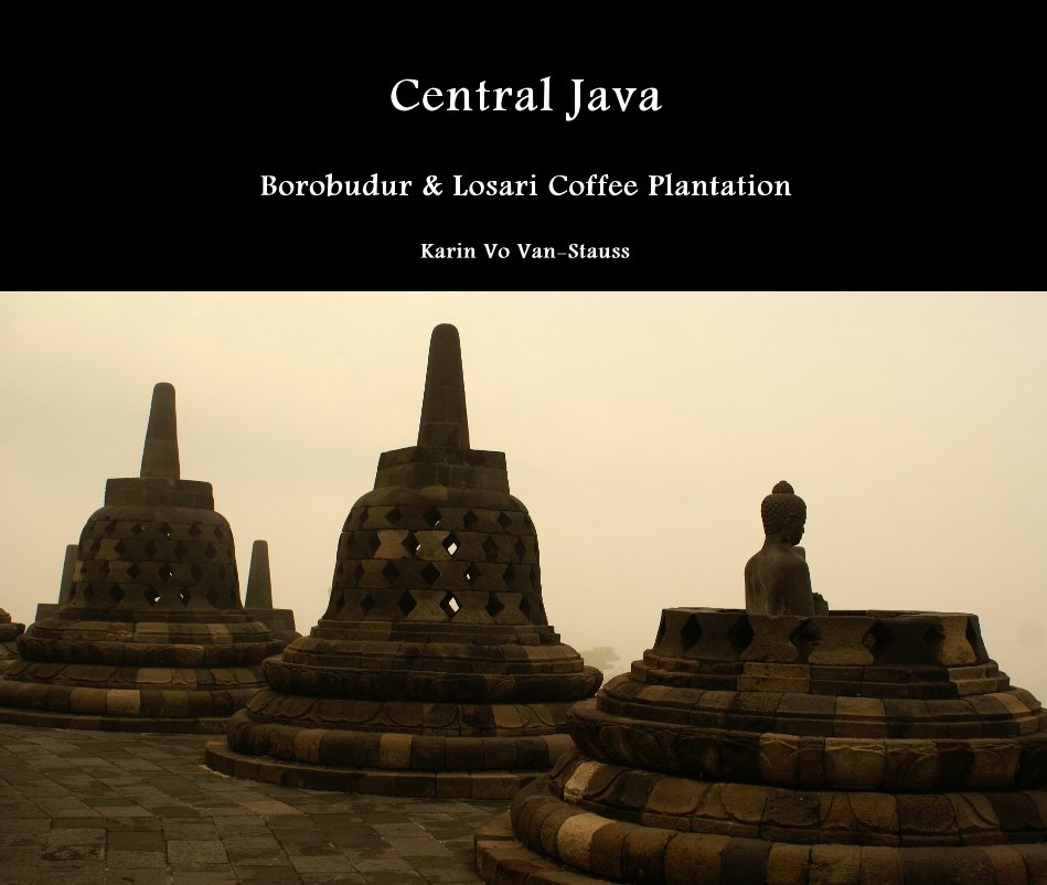 View Central Java by Karin Vo Van-Stauss